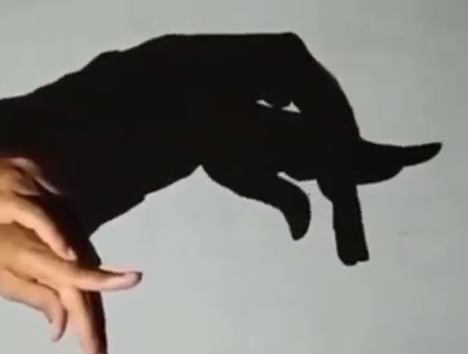 Shadow puppetry